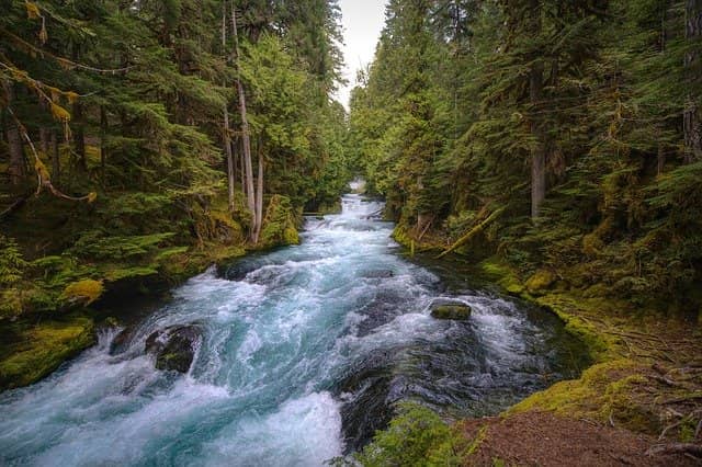 fluss
